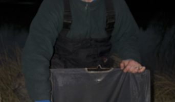 Justin Ashby Peg 27 8lb Roach.jpg